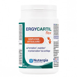 Nutergia Ergycartil Flex 90 gélules